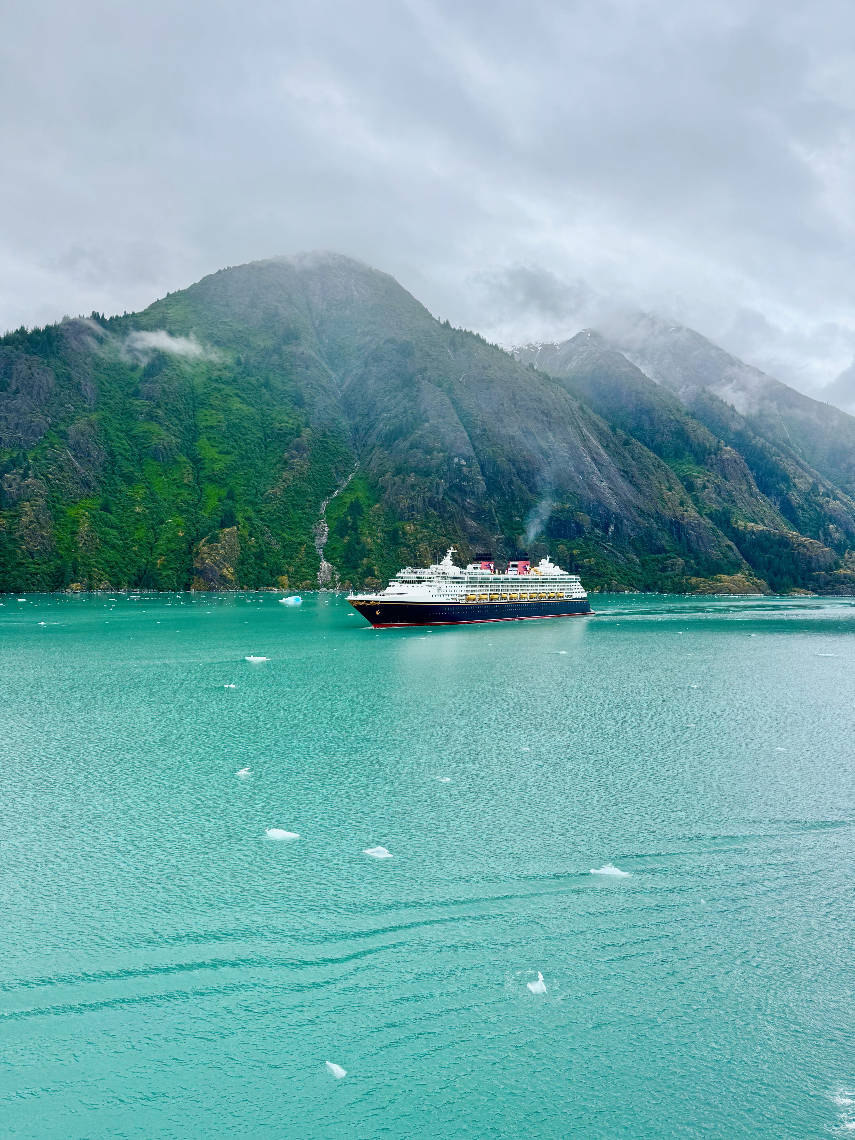 Discovery Princess @ Endicott Arm