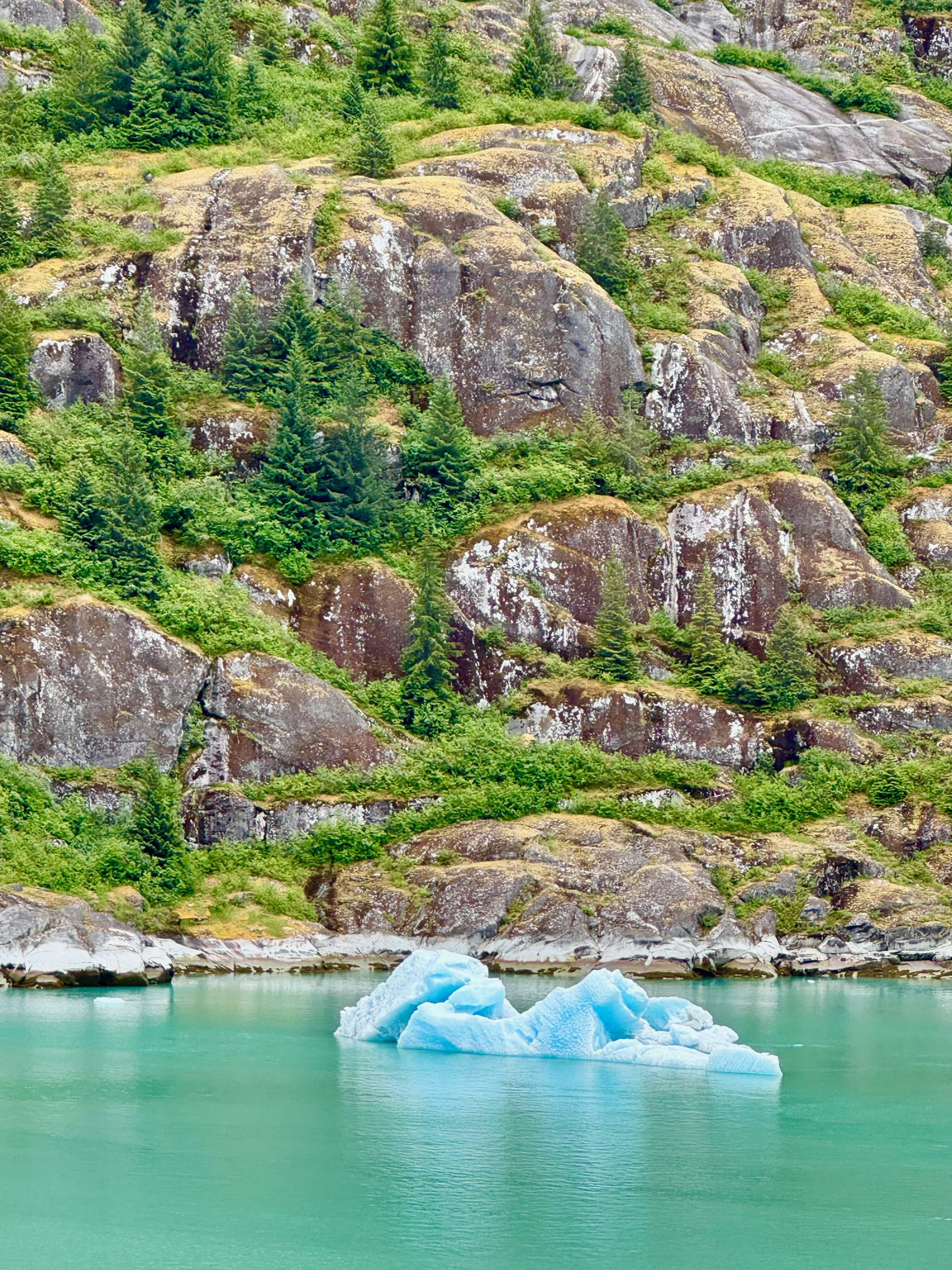 Floating Iceberg