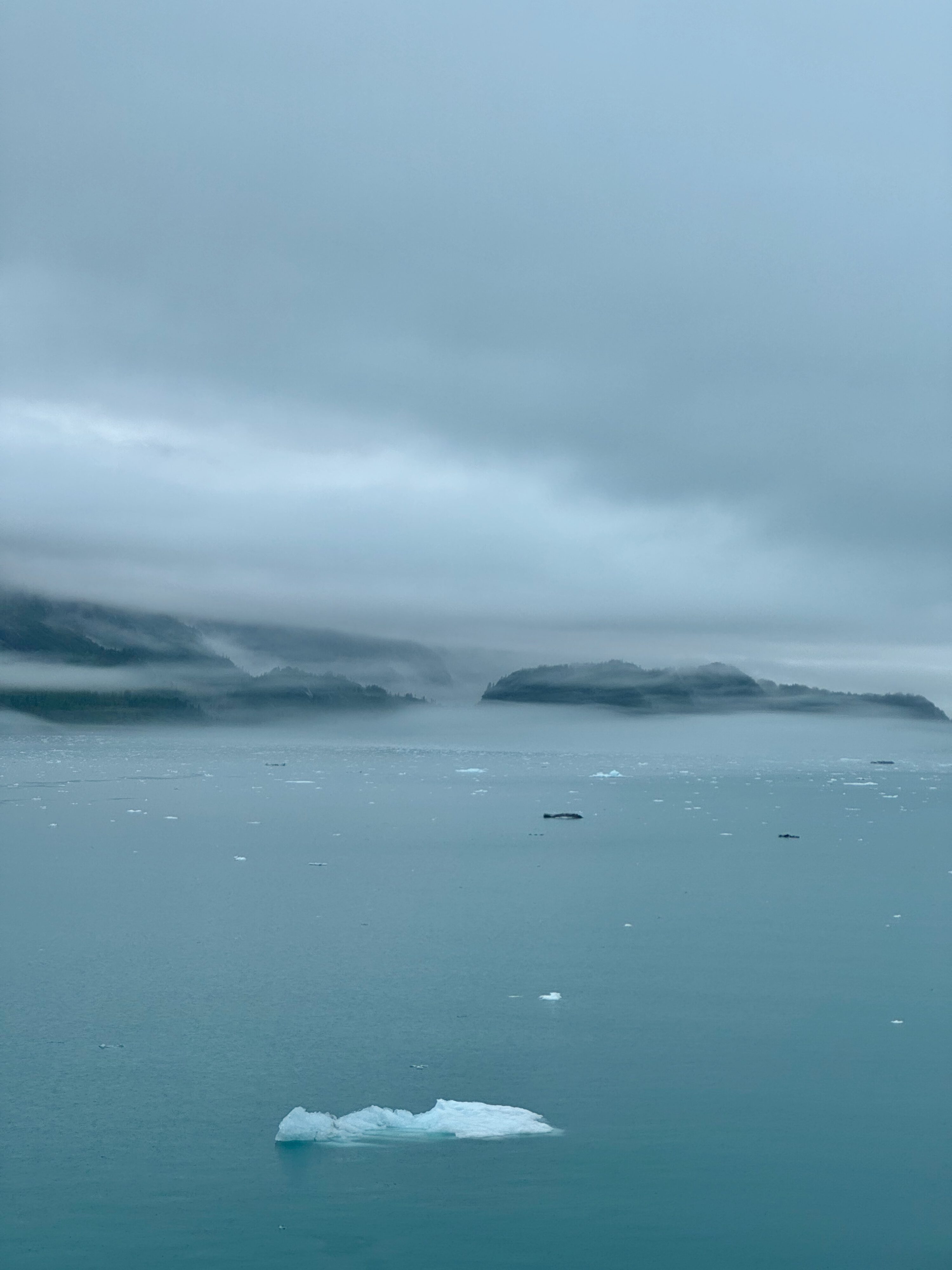 Glacier Bay